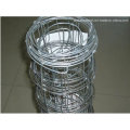 Farm Fence for Animal/ Hinge Joint Wire Mesh Fence/Animal Fence